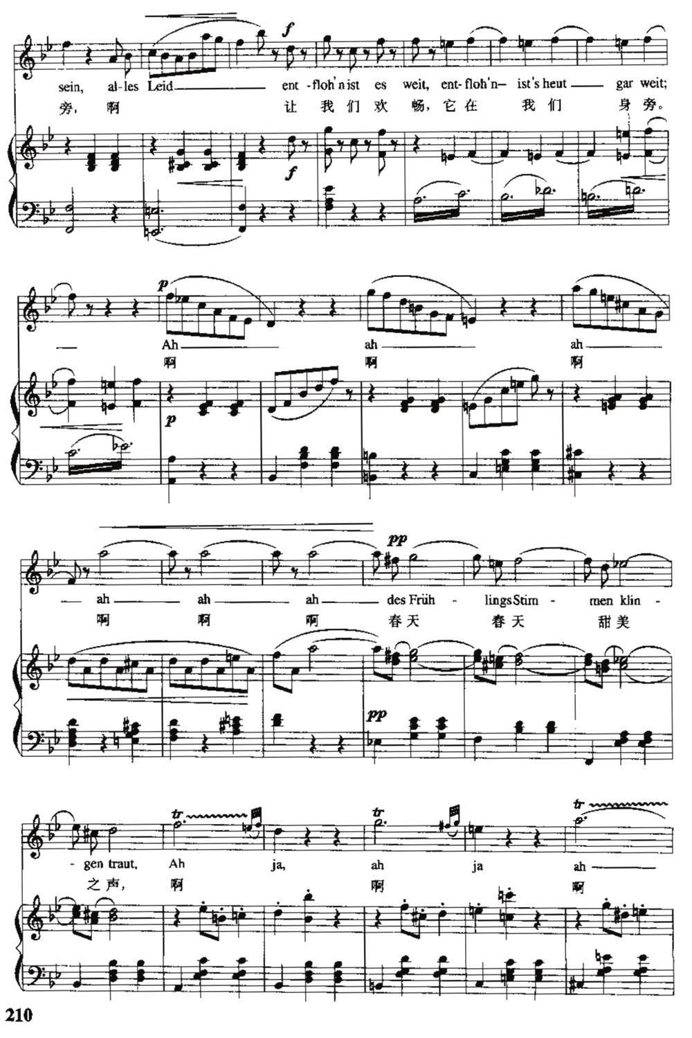 [奥]春之声圆舞曲（中外文对照、正谱）钢琴曲谱（图15）