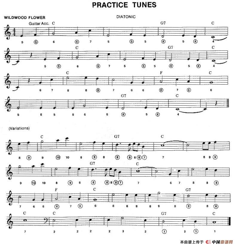 PRACTICE TUNES（布鲁斯入门初级乐曲2首、五线谱）钢琴曲谱（图1）