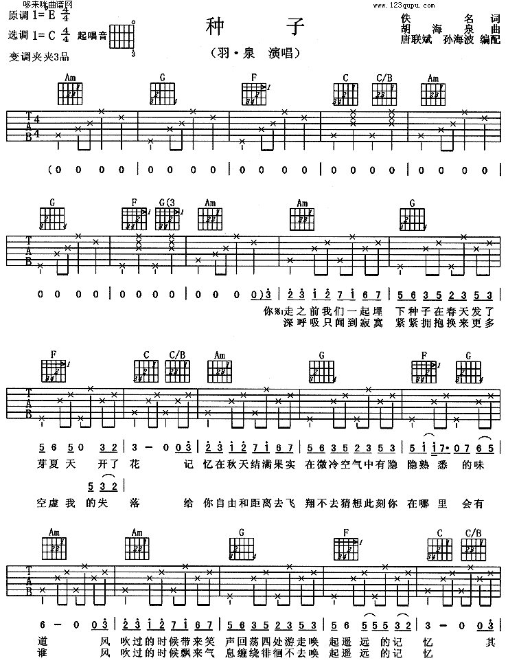 种子(羽泉)吉他谱（图1）