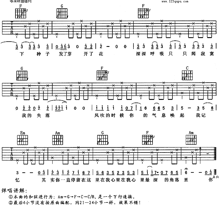 种子(羽泉)吉他谱（图3）