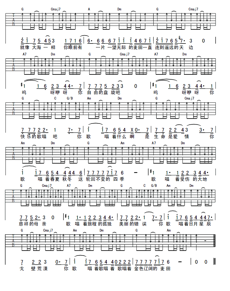 麦田上的乌鸦吉他谱（图3）