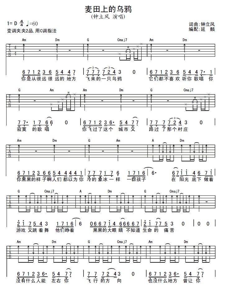 麦田上的乌鸦吉他谱（图1）