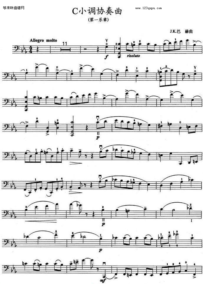C小調协奏曲(第一乐章)-巴赫其它曲谱（图1）