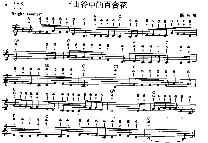 山谷中的百合花 口琴谱其它曲谱（图1）