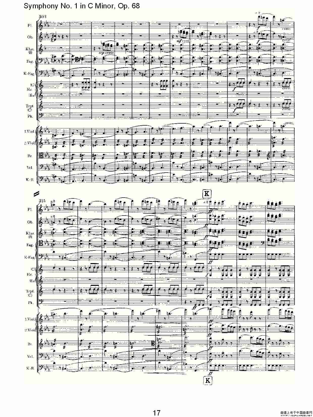 C小调第一交响曲, Op.68 第一乐章其它曲谱（图9）