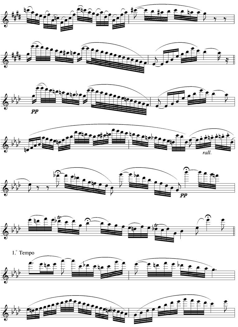 威尼斯狂欢节（长笛谱）其它曲谱（图7）