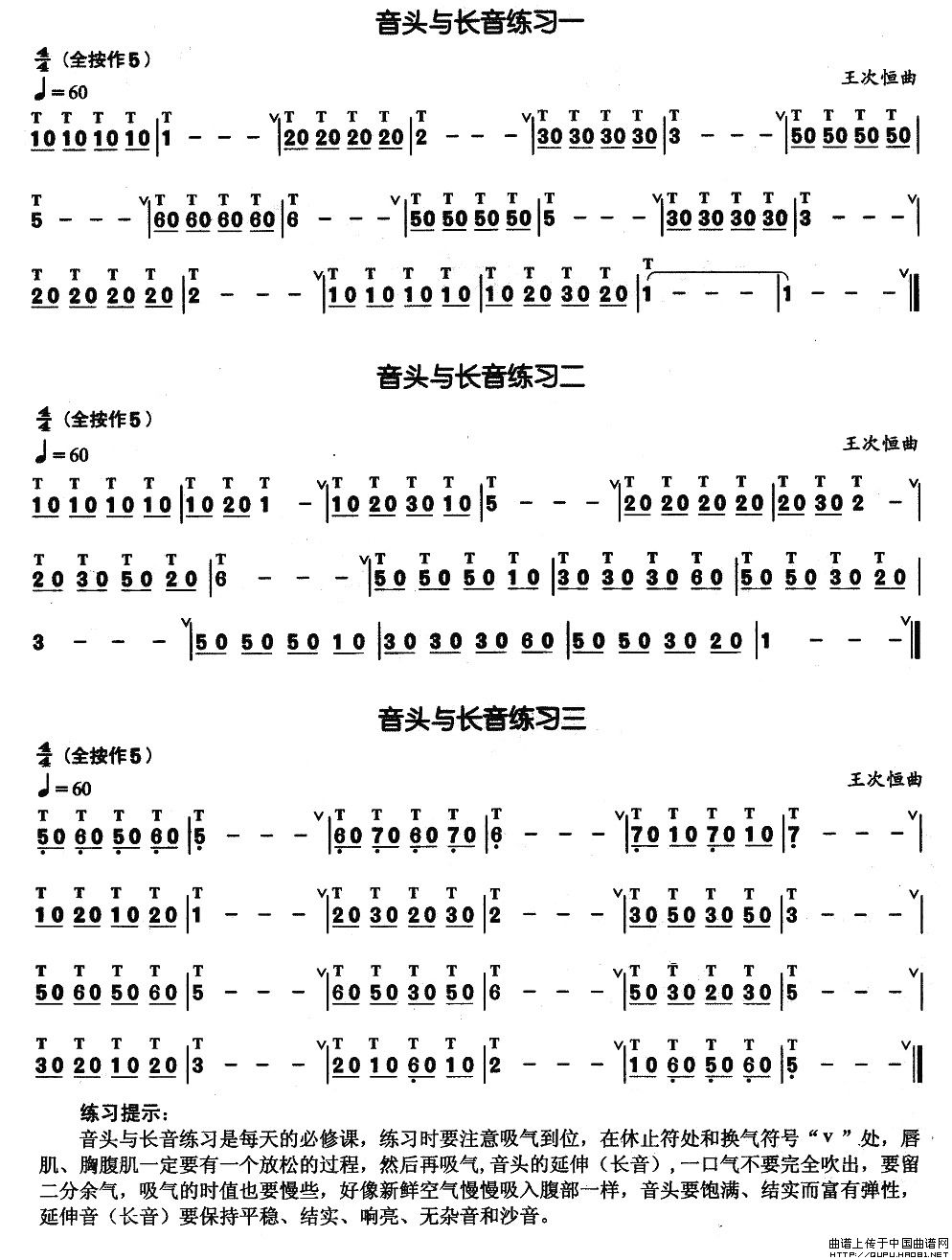 葫芦丝基本技巧练习曲--音头其它曲谱（图2）