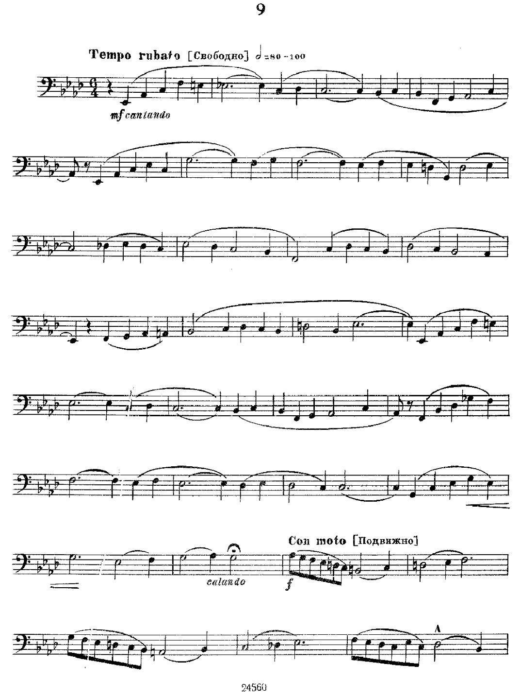 瓦西里耶夫24首大号练习曲集（7—12）其它曲谱（图5）