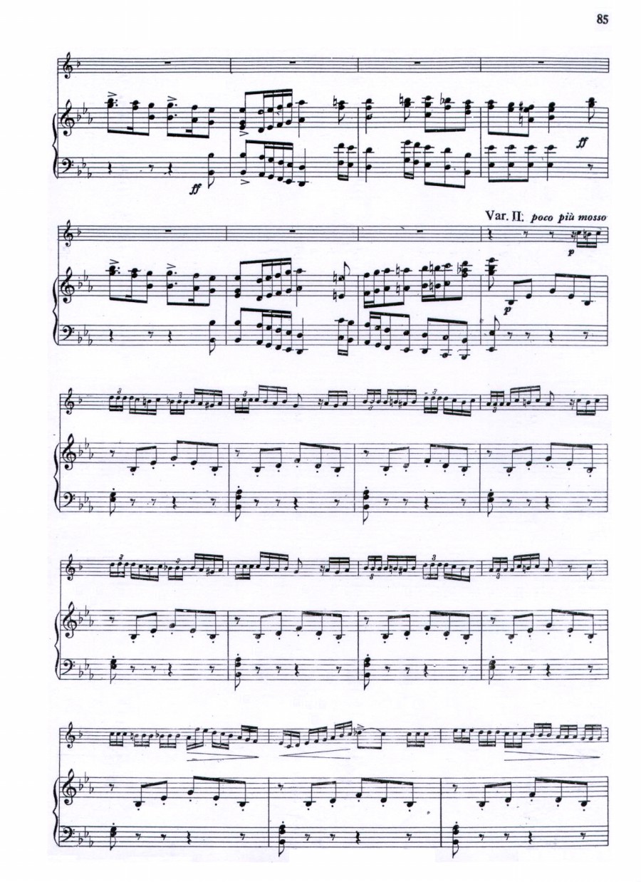威尼斯狂欢节幻想变奏曲+钢琴伴奏其它曲谱（图7）