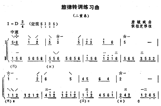 旋律转调练习曲（琵琶二重奏）1其它曲谱（图1）