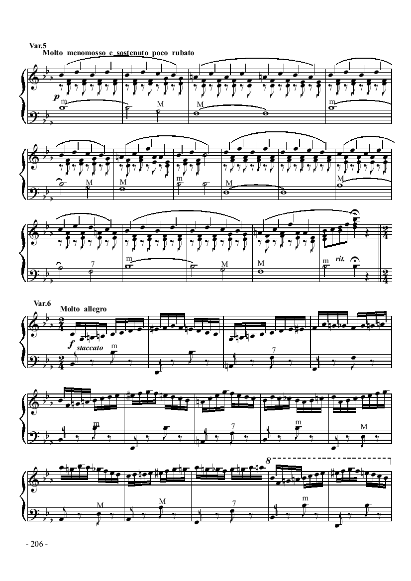 八级乐曲《乌克兰主题变奏曲》 键盘类 手风琴手风琴曲谱（图6）