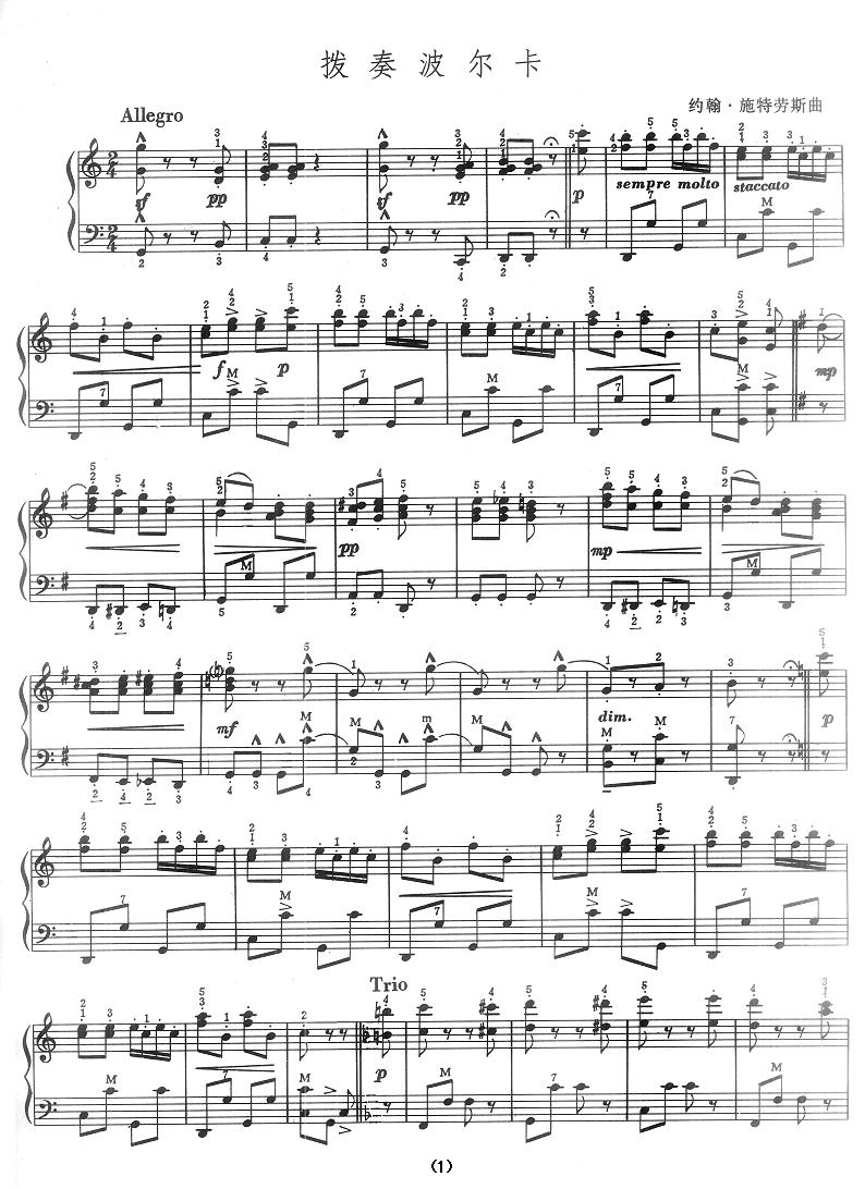 拨奏波尔卡手风琴曲谱（图1）