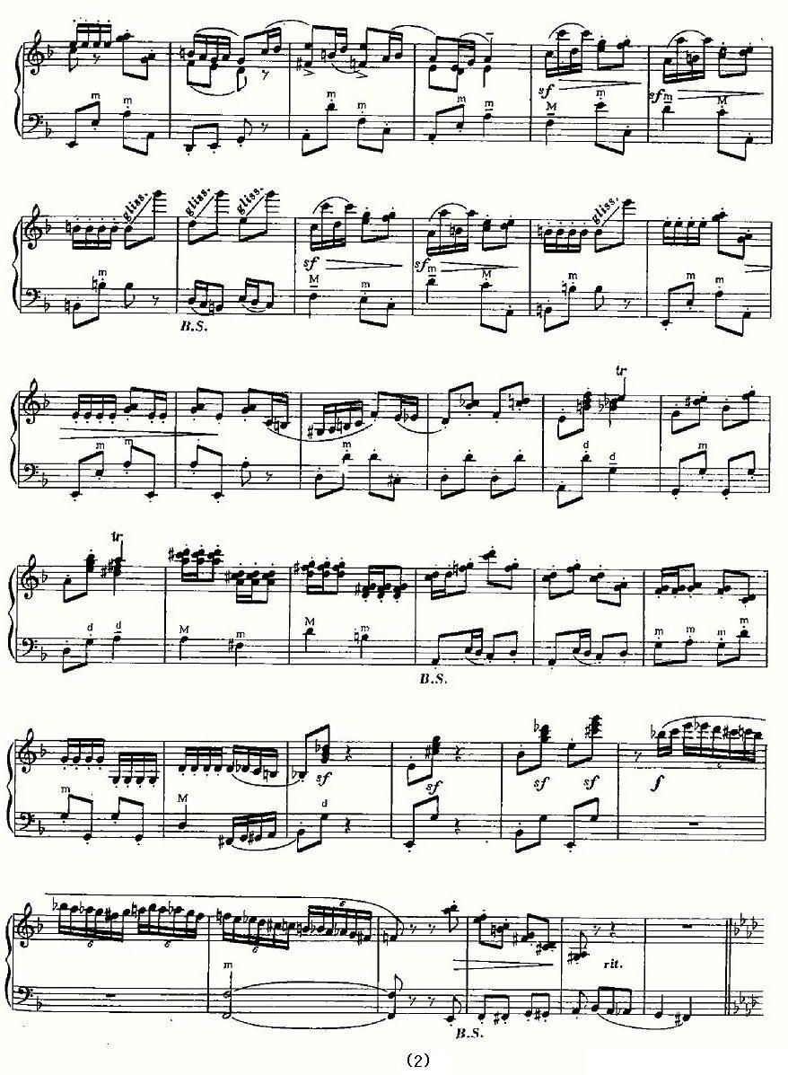 促织幻想曲手风琴曲谱（图2）