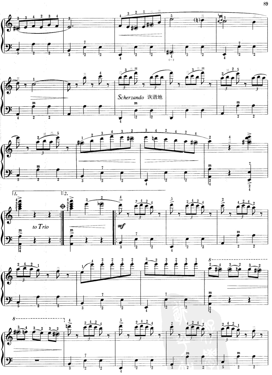 橄榄花手风琴曲谱（图2）