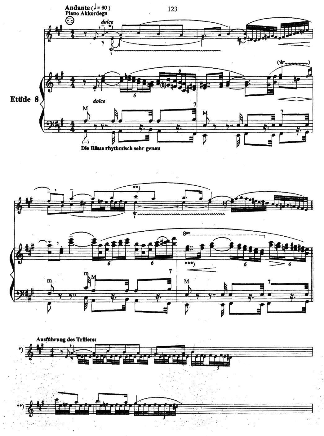 帕格尼尼主题音乐会练习曲（6—10）手风琴曲谱（图4）
