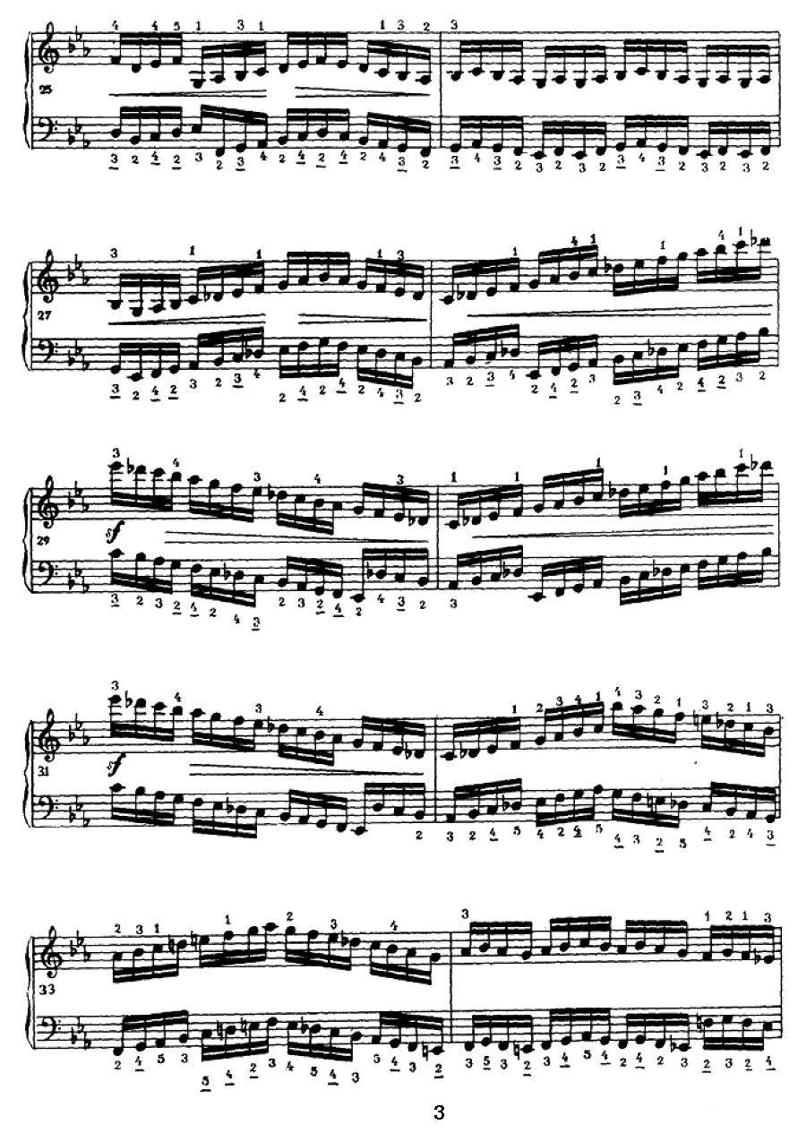 手风琴练习曲（3）手风琴曲谱（图3）