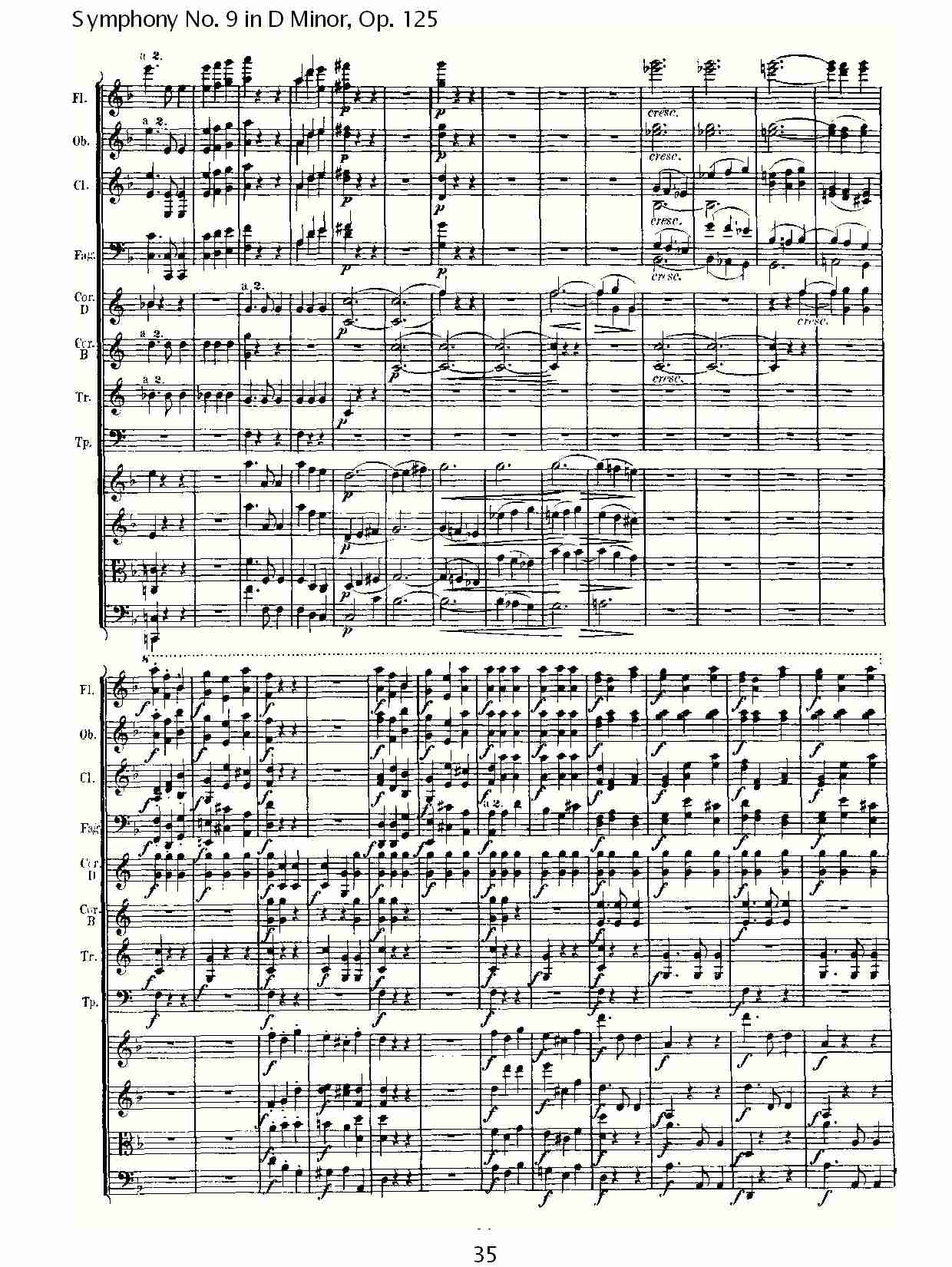 D大调第九交响曲 Op.125 第二乐章（四）总谱（图5）