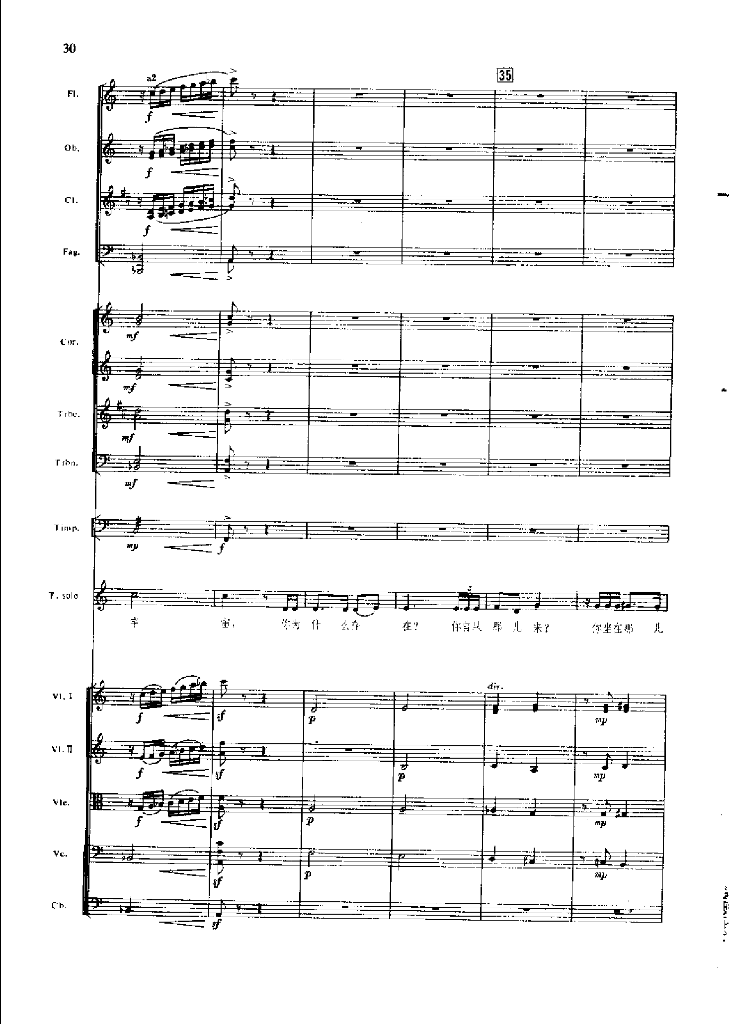 管弦乐总谱凤凰涅槃 乐队类 管弦乐总谱总谱（图30）