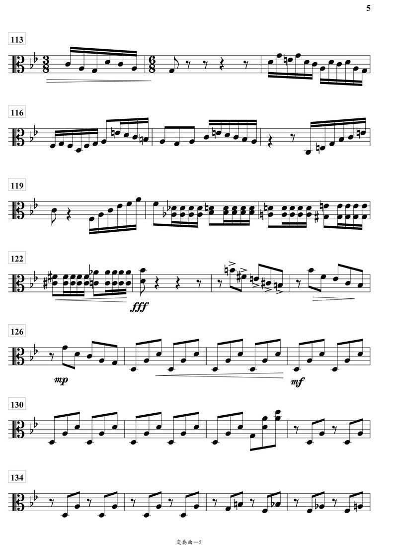 变奏曲中阮分谱总谱（图5）