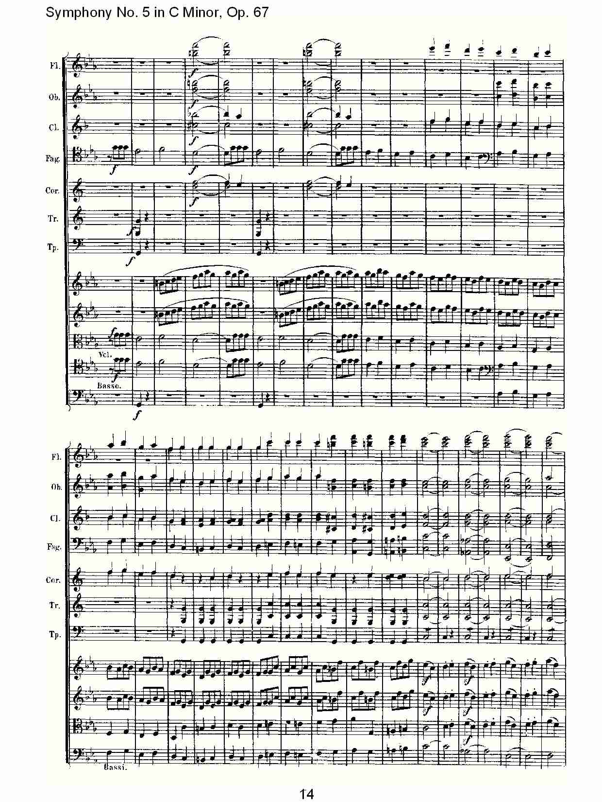 C大调第五交响曲 Op.67 第一乐章总谱（图14）