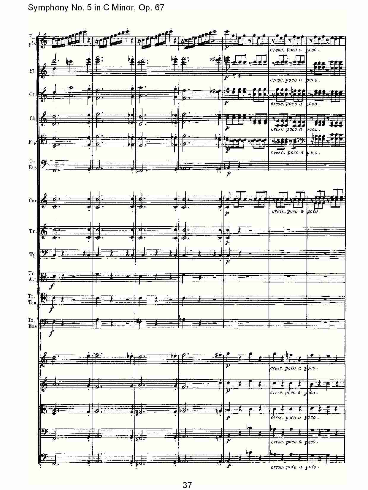 C大调第五交响曲 Op.67 第四乐章总谱（图37）