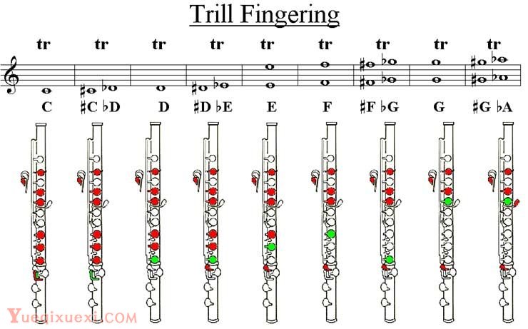长笛颤音指法图（ Trill Fingering） 共三张图片
