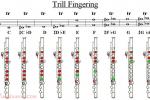  长笛颤音指法图（ Trill Fingering） 共三张图片