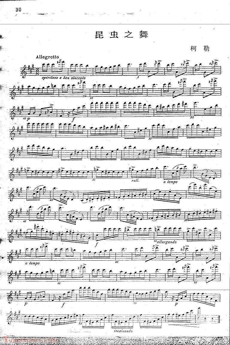 中央音乐学院长笛考级教程：五级练习曲