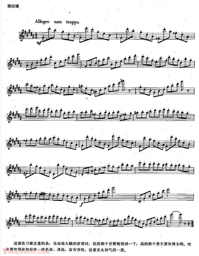 长笛练习曲100课：第65课 出现大跳音型与低的音练习要点