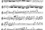  莫扎特C大调长笛协奏曲Morzat C Major Concerto