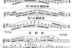  中央音乐学院长笛考级教程：五级练习曲