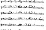  长笛练习曲100课：第32课 两个八分音符后的十六分音符吹法
