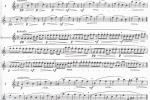  MARCEL MOYSE 24首旋律的小练习曲和变奏乐谱：第一部分 Part I
