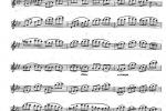  长笛练习曲100课：第53课 三连音与音程