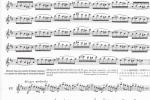  MARCEL MOYSE 24首旋律的小练习曲和变奏乐谱：第四部分 Part IV
