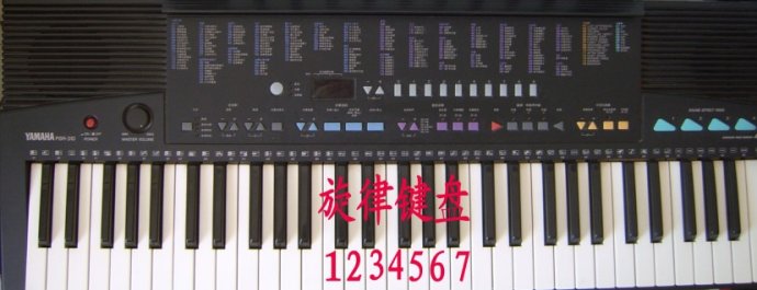 如何认识电子琴的音符？电子琴键盘上左右手的位置