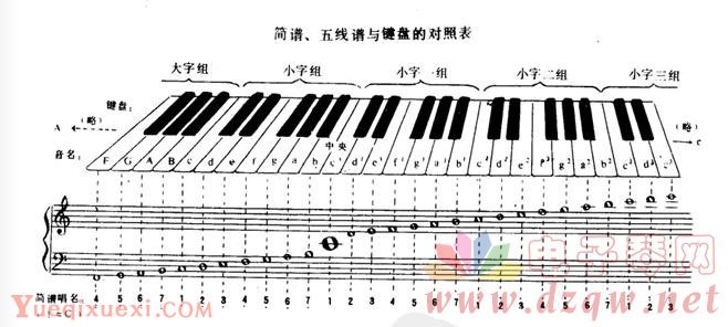 电子琴简谱及五线谱与键盘的对照表图