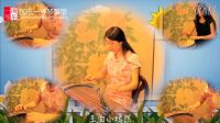  古筝名曲欣赏《穷开心》-中国十大古筝名曲