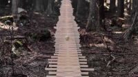  超长特制木琴在森林中演奏巴赫名曲 夏普当年的 SH-08C 广告神作