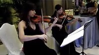  深圳小提琴 木琴 电声乐队 弦乐四重奏 婚礼乐队伴奏迎宾等