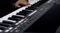  雅马哈s670电子琴演奏《化蝶》