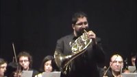  Mozart 圆号 french horn concerto No,3 Angelo Bonaccorso