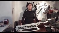  刘璐手风琴伴式背挎双排三排键电子琴合成器脚电子鼓剪辑