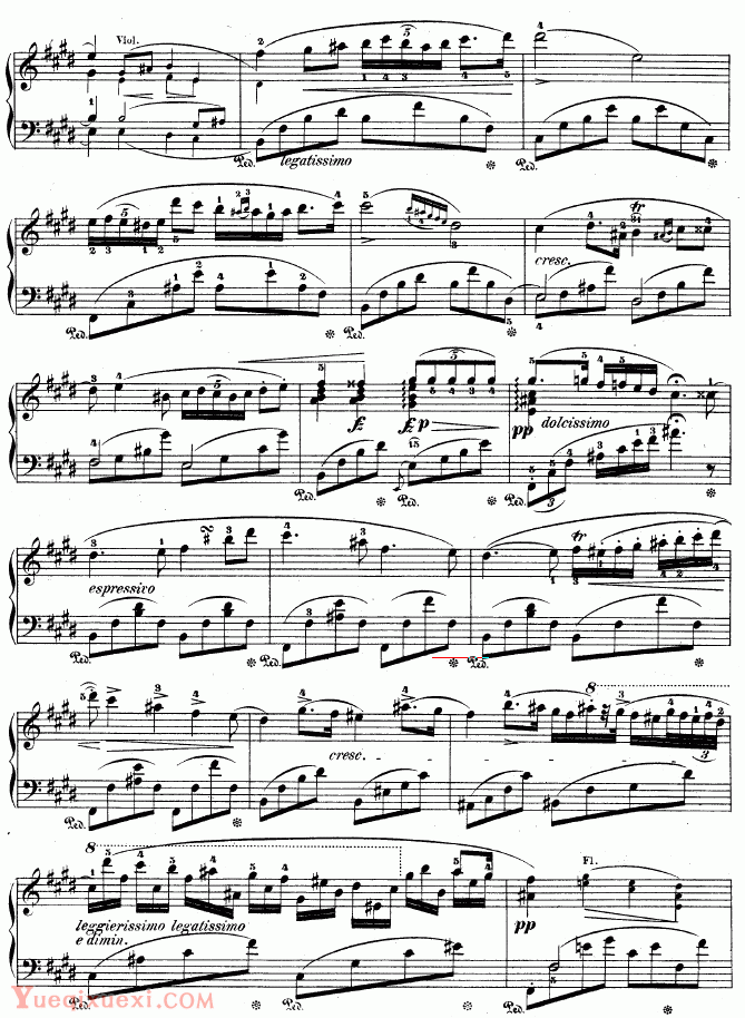 肖邦-chopin 钢琴第一协奏曲 op.11-2（钢琴名人名曲)