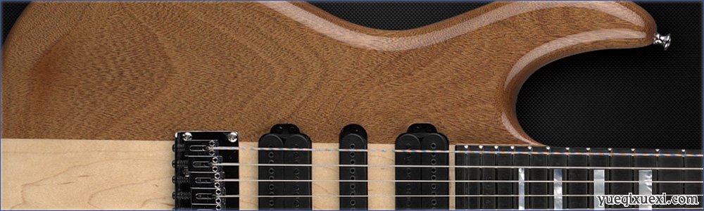 吉他与贝司常见使用的木料简介