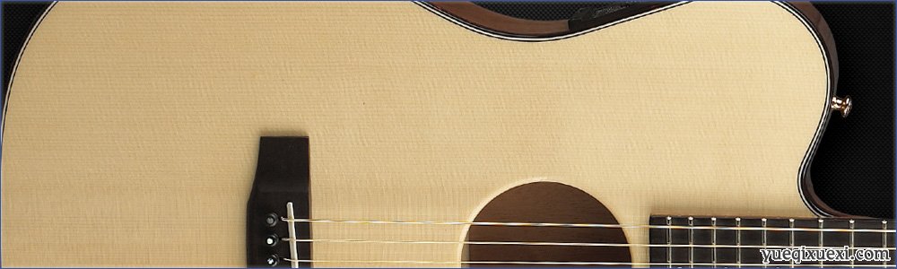 吉他与贝司常见使用的木料简介