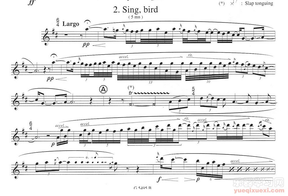 须川展也的《Fuzzy Bird Sonata》(Sing, Bird)毛绒鸟奏鸣曲二