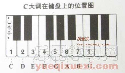 手风琴（钢琴、电子琴）右手Ｇ、a等常用大小调在键盘上的位置及