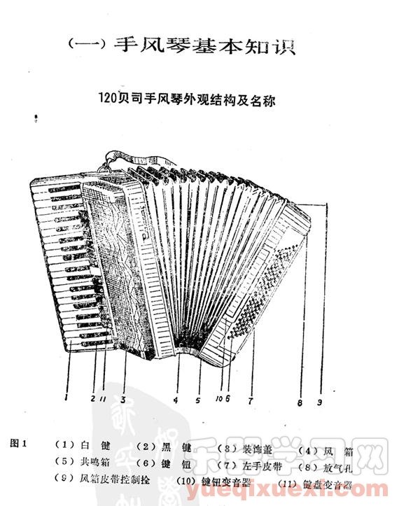 120贝司手风琴外观结构及名称