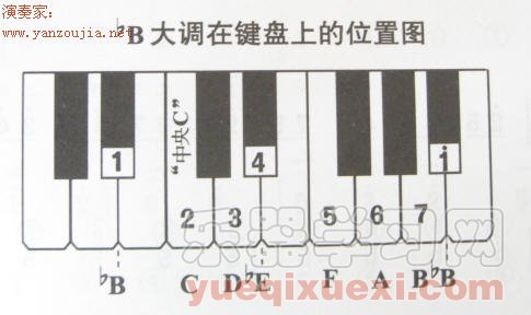 手风琴（钢琴、电子琴）右手Ｇ、a等常用大小调在键盘上的位置及